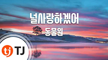 널사랑하겠어 널사랑하겠어