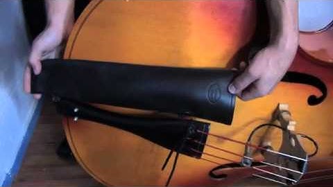 What are the parts of an Upright Bass | Bass Techniques with Colin