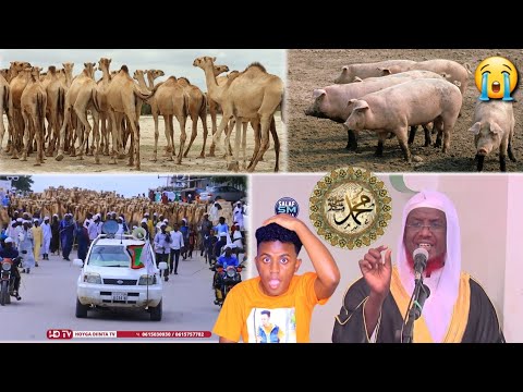 DEG DEG SH UMAL OO DOOFAAR KU TILMAAMAY GEELKII NABIGA LOO GOWRACAY