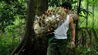 Download Lagu CEO Leaves the city for the forest – Finding yourself amidst nature \u0026 Wildlife MP3 Download Lagu CEO Leaves the city for the forest – Finding yourself amidst nature \u0026 Wildlife MP3