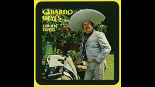 Muchos vasos de vino Gerardo REYES