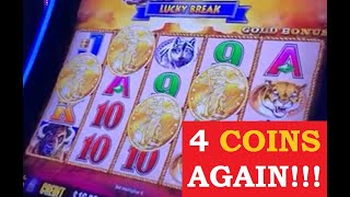 BIG WIN (3 Coins +Multiplier) +4 coins + More Buffalo Gold slot action & I EXPLAIN BINGO-style slots