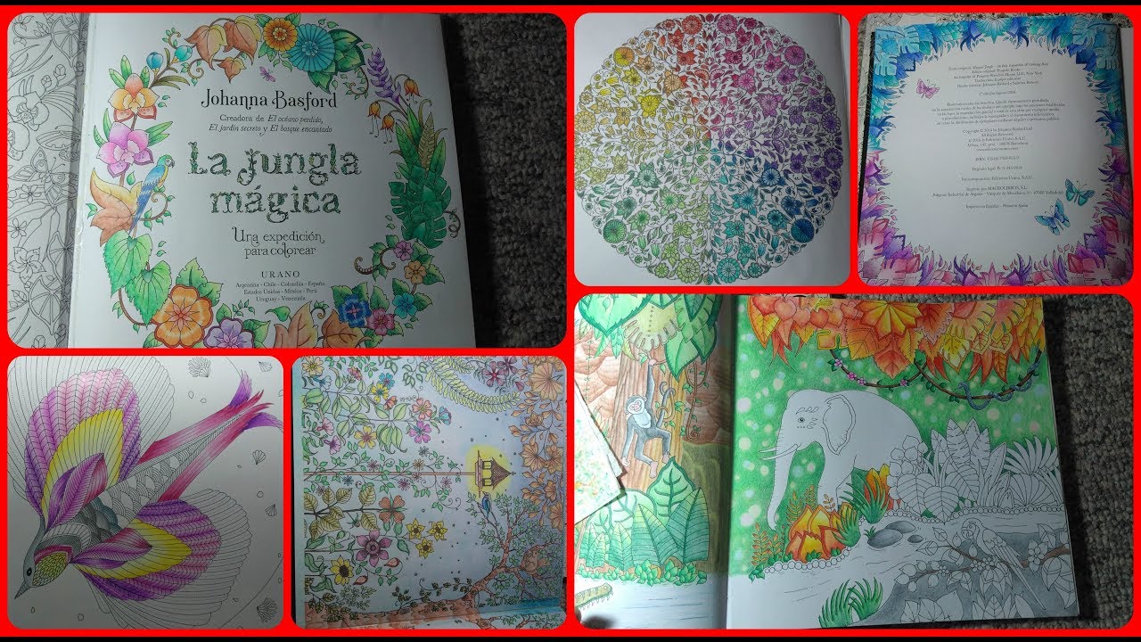 Libros de Pintar Para Adultos: Libros de pintar para adultos (Reino Mágico)  : Este libro contiene 40 láminas para colorear que se pueden usar para  pintarlas, enmarcarlas y / o meditar con