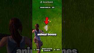 Sell ANIMAL BONES for Free XP