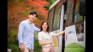 [정선 여행]와와버스 타고 정선여행 떠나요~