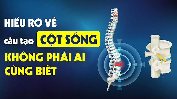 Cơ thể con người có bao nhiêu đốt sống