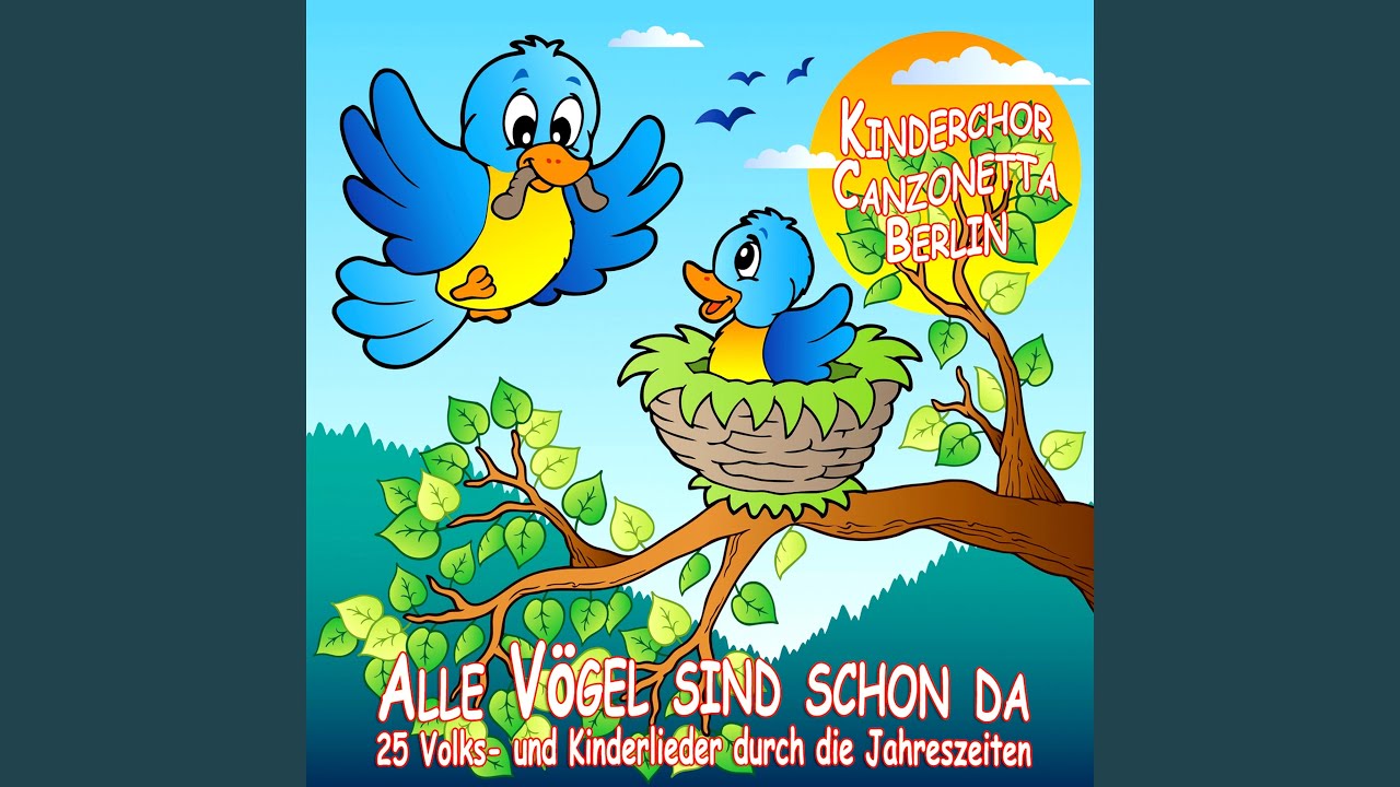 Leer sind die Felder YouTube