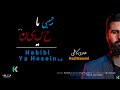 Hadi kazemi  hbibi ya huseyn  2021 official clip