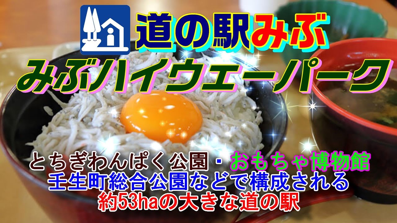 道の駅みぶ みぶハイウェイパーク とちぎわんぱく公園 おもちゃ博物館 壬生町総合公園などで構成される約53haの大きな道の駅 Youtube