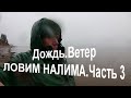 ДОЖДЬ.ВЕТЕР..ЛОВИМ НАЛИМА.Часть