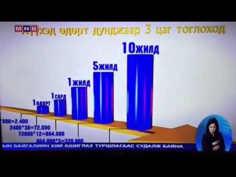 Видео: Ширээ, байшин хоёулаа: Роттердам дахь ногоон дээвэртэй тоглоомын газар