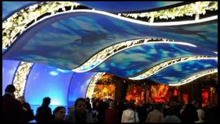 Philly Flower Show more exotic than years past [Delaware Online News Video]