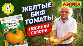 Новинка  БИФ ТОМАТОВ – Медовая роса