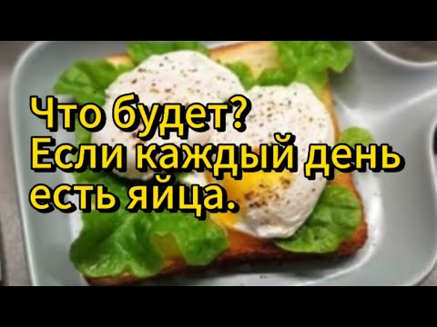 Что будет? Если есть яйца каждый день. #egg #eggs #eggsrecipe #авызнали #интересно #саморазвитие