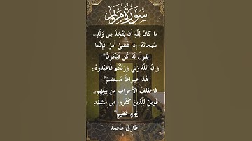 The Holy Quran Tareq Mohammad Surah Mryam طارق محمد - القرآن الكريم سورة مريم