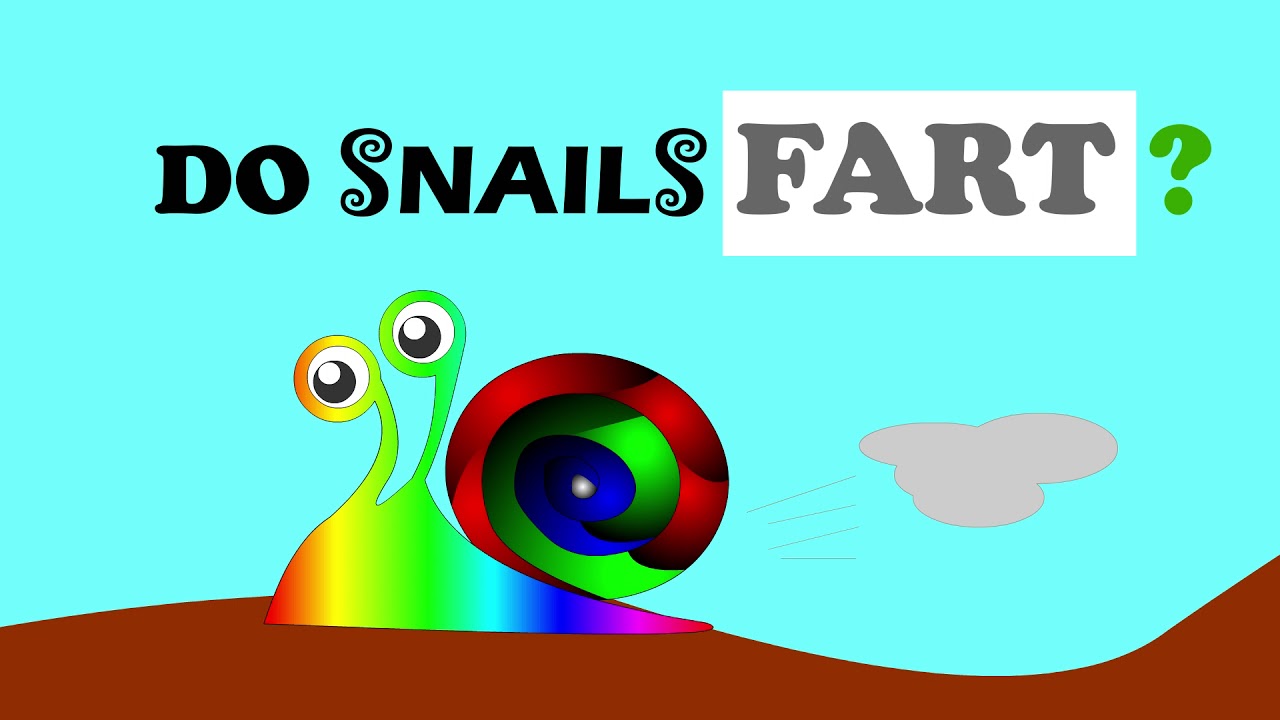 DO SNAILS FART???