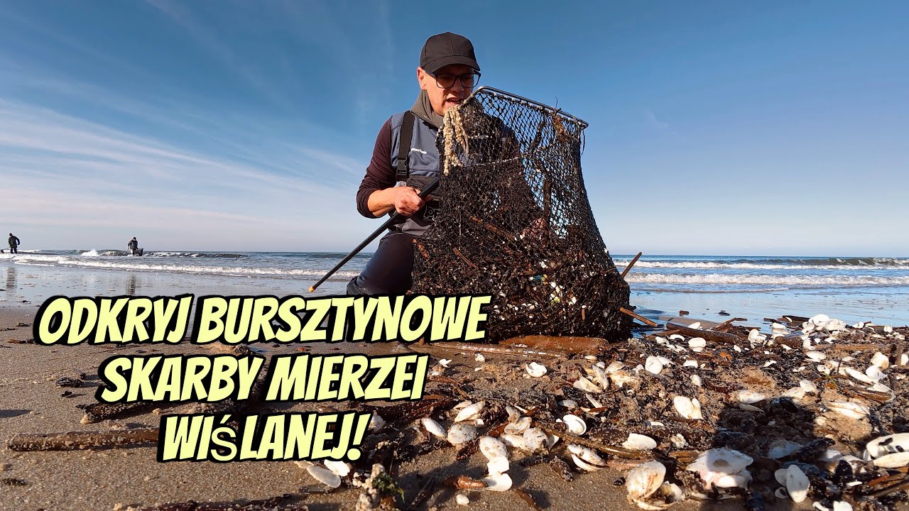 Polskie złoto Bałtyku – bursztyny z Mierzei Wiślanej