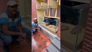 Monster Tank Aquascaping - Final Layout 🔥🔥