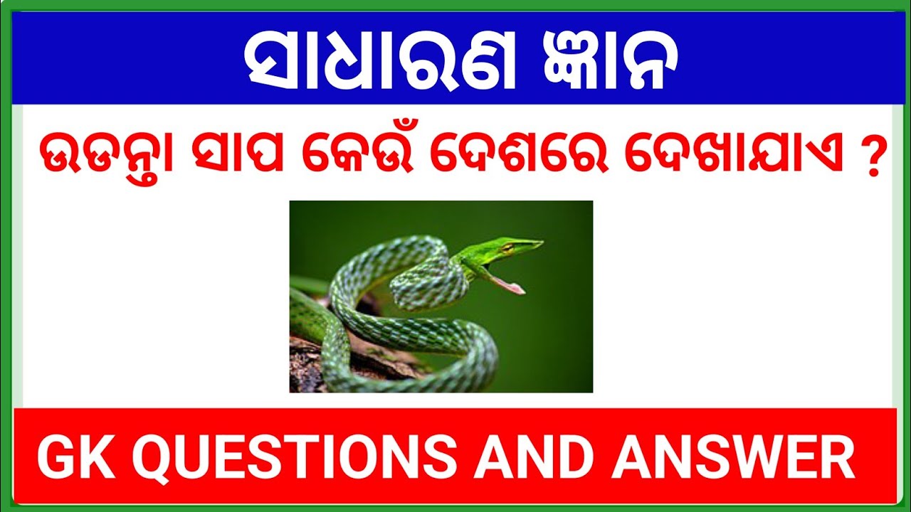 Odia Gk Odia||Odia Gk Video||Odia Mcq||Gk In Odia||Odia Knowledge - YouTube