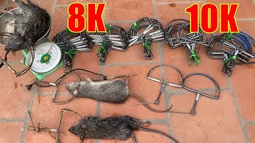 Kẹp bẫy chuột ,kẹp bán Nguyệt,kẹp bẫy đa năng giá rẻ lh 0967 924 126