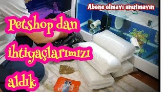 PETSHOP ALIŞ VERİŞİNDEN ALDIKLARIMIZ, akvaryum balıkları, ciklet akvaryumları, akvaryum videoları,