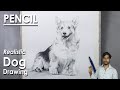 How to Draw A Realistic Dog in Pencil | step by step