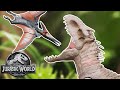 Dino Battles: Indominus Rex Vs. Pteranodon & Brachiosaurus | Jurassic World | Mattel Action!