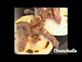 Meal Preparaciones | En la olla Cocicna Criolla Chunchullo|tripa| En la olla cocina criolla 2019