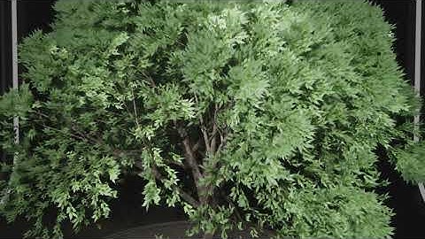 Unreal Engine 4 | Niagara Tree Simulations | 1