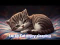 I made a sleeping lucky cat music  luckycat