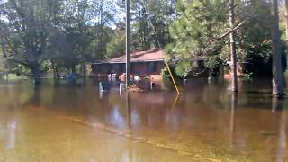 Hurricane Matthew | Flooding | North Carolina by Sarina Maynor 209 views 7 years ago 19 seconds