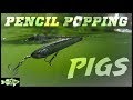 How to Fish Pencil Popper Topwater Baits for Big Bass