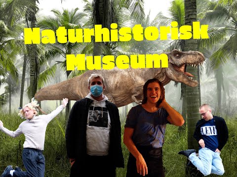 Video: Verdens Bedste Naturhistoriske Museer