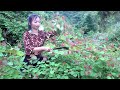 The girl picking vegetables and the lucky boy herding buffalo help each other overcome difficulties