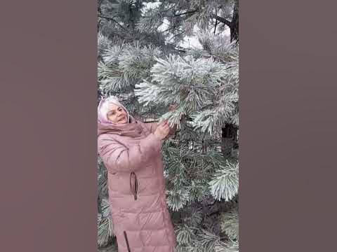 Ставрополь погода изменилась - YouTube