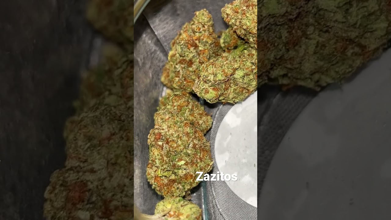 Zazitos🍊⛽️