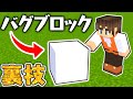 危険すぎるバグブロックをゲットする裏技!!これってどんな仕組みなの!?マイクラ実況Part357【マインクラフト】