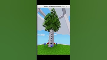 Houses: 5-8 year olds vs 13+ #minetest #notminecraft