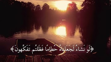 {‏ثم إنكم أيها الضالون المكذبون} القارئ ~ أسلام صبحي