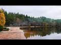 BACK IN THE SCOTTISH HIGHLANDS | ancient forest, crystal clear loch &amp; a tiny wooden cabin