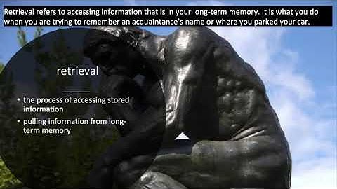 t 4VmFQyUKJrVKcjxchU7oh5kyedqoAtxr ezgif com video speed