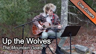 The Mountain Goats - Up the Wolves (Cover)