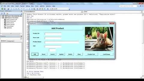 Inventory Management in Excel VBA Tutorial Part 2 - Insert and Save Picture, Search