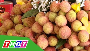 Bắc Giang xúc tiến tiêu thụ vải thiều | THDT