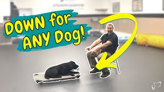 How to Teach Your Dog to Lay DOWN | Full Lesson and Follow-Up by Unleashed Potential K9 TV 3,500 views 2 years ago 15 minutes