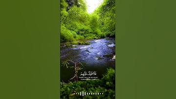 وما نرسل المرسلين إلا مبشرين ومنذرين - سورة الأنعام #قران #قران_كريم
