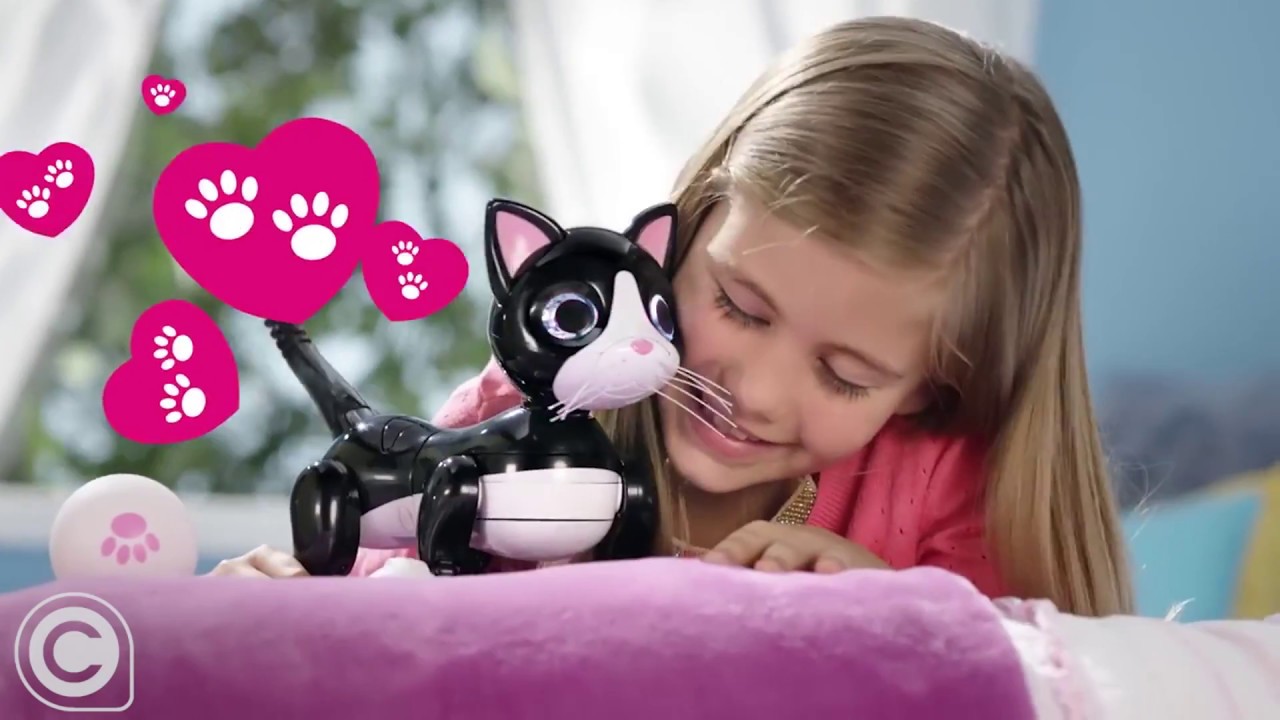 Zoomer Kitty - YouTube