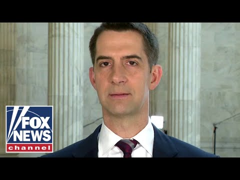 Sen. Cotton: Biden's 'rank incompetence' caused this