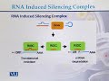 BT504 Genomics and Proteomics Lecture No 74