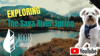 Zelenci | The Sava River Spring